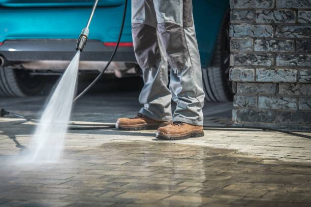 Best Pre-Holiday Cleaning  in Queens, NY