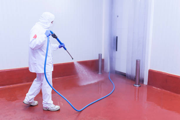 Best Restaurant Pressure Washing  in Queens, NY